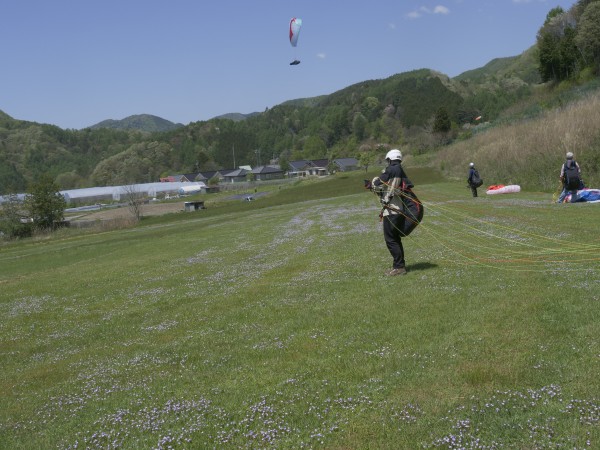 ５月４日(土)の高嶺